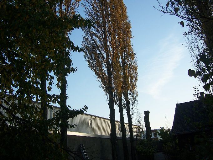 Seilklettertechnik - Kleine Boymann