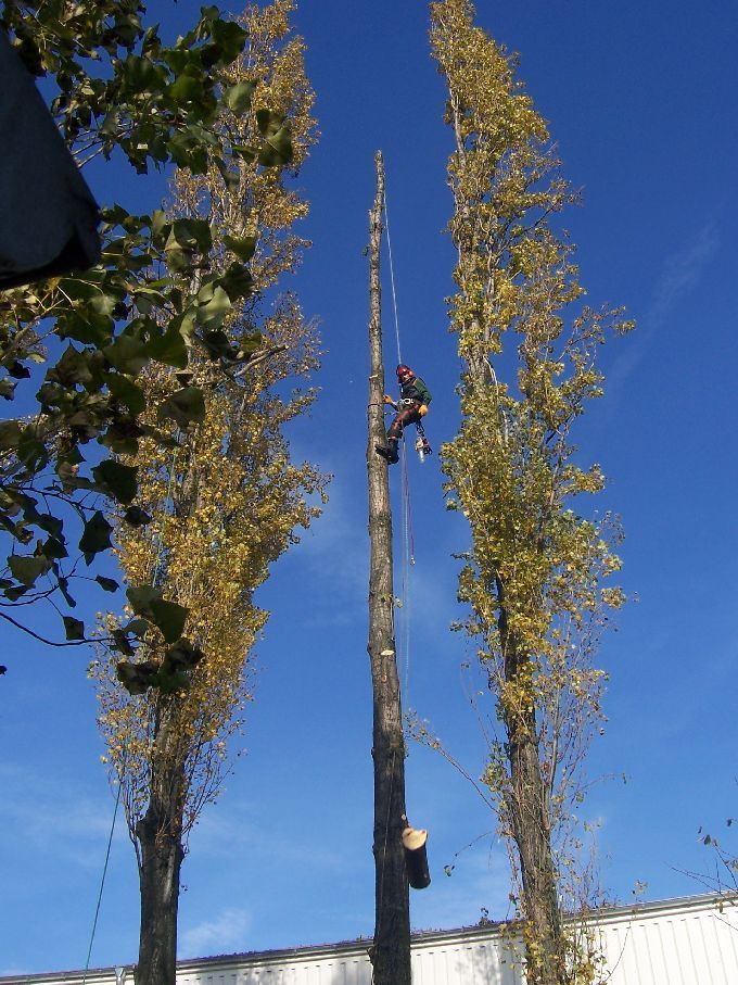 Seilklettertechnik - Kleine Boymann