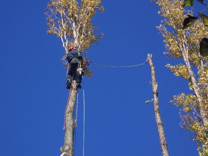 Seilklettertechnik - Kleine Boymann