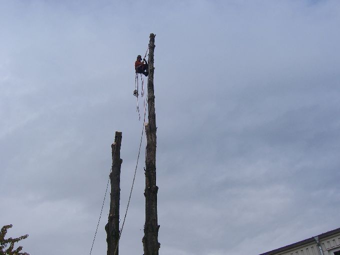 Seilklettertechnik - Kleine Boymann