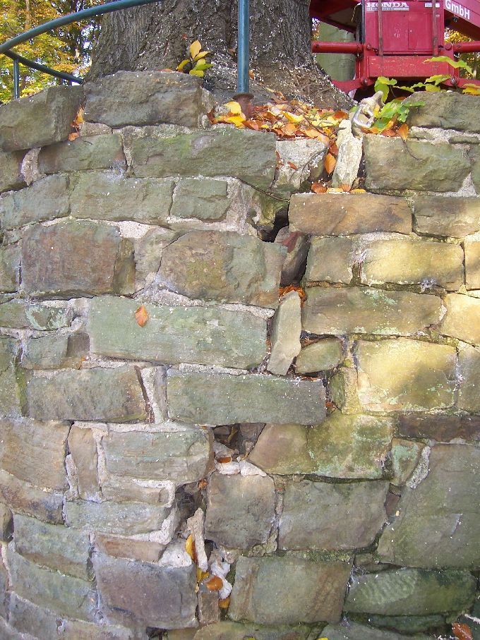 Baumfällung durch Seilklettertechnik Kleine Boymann