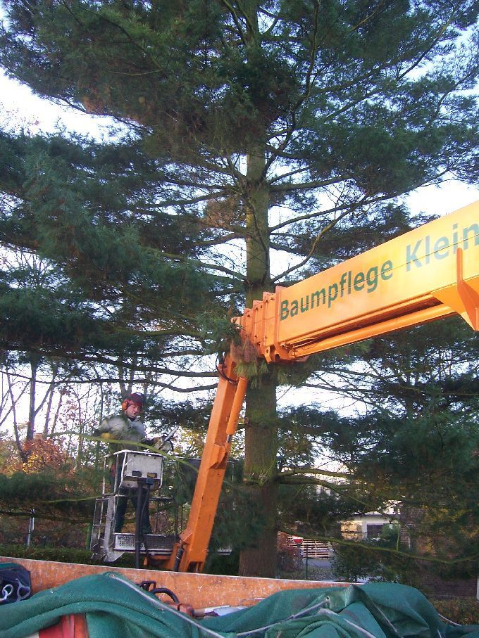 Baustellen mit Arbeitsbühne - Kleine Boymann