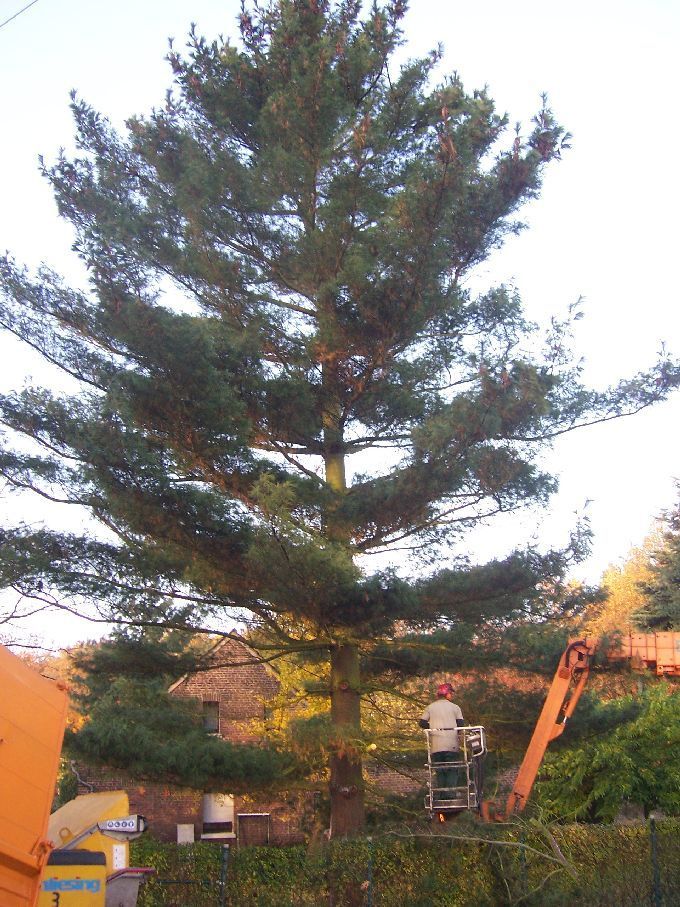 Baustellen mit Arbeitsbühne - Kleine Boymann