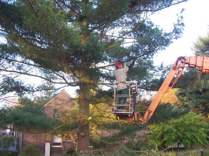 Baustellen mit Arbeitsbühne - Kleine Boymann
