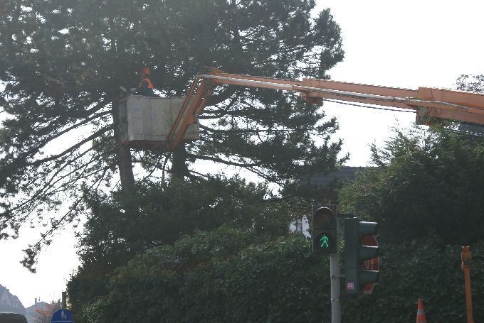 Baustellen mit Arbeitsbühne - Kleine Boymann
