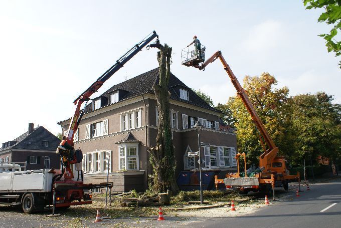 Baustellen mit Arbeitsbühne - Kleine Boymann