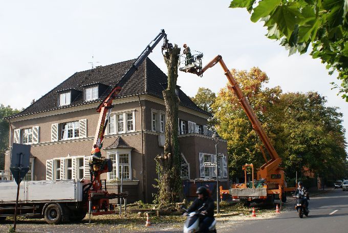 Baustellen mit Arbeitsbühne - Kleine Boymann