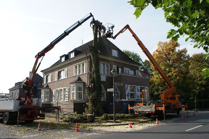 Baustellen mit Arbeitsbühne - Kleine Boymann