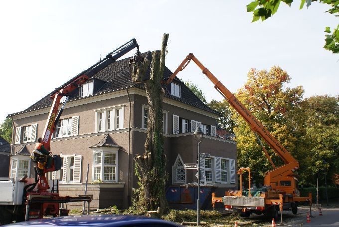 Baustellen mit Arbeitsbühne - Kleine Boymann