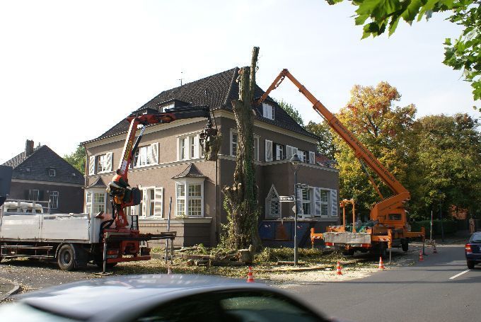 Baustellen mit Arbeitsbühne - Kleine Boymann
