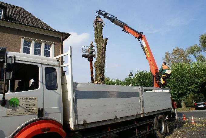 Baustellen mit Arbeitsbühne - Kleine Boymann
