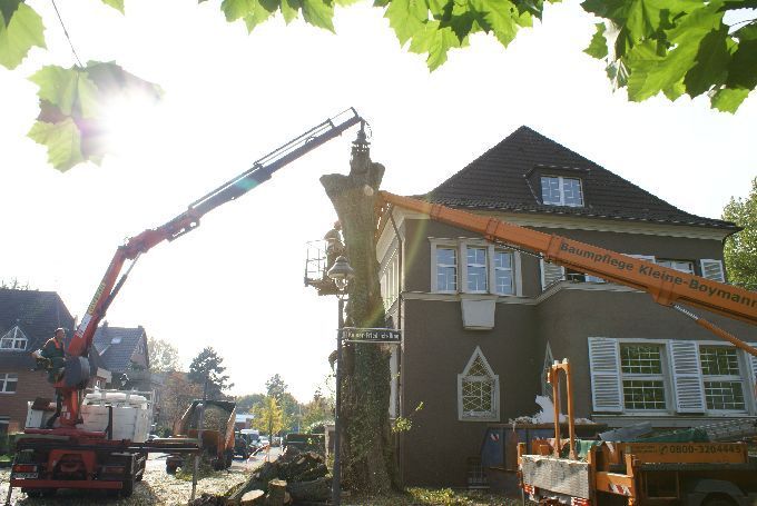 Baustellen mit Arbeitsbühne - Kleine Boymann