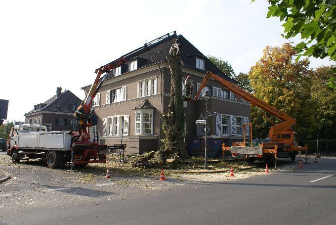 Baustellen mit Arbeitsbühne - Kleine Boymann
