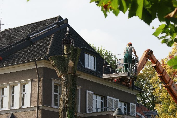 Baustellen mit Arbeitsbühne - Kleine Boymann