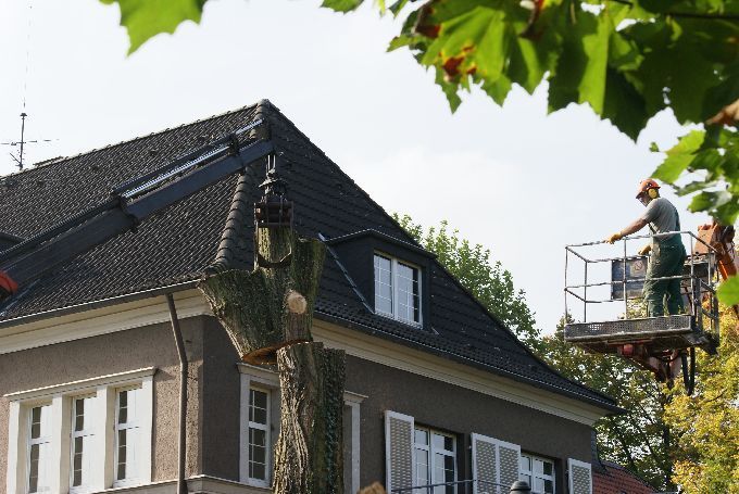 Baustellen mit Arbeitsbühne - Kleine Boymann