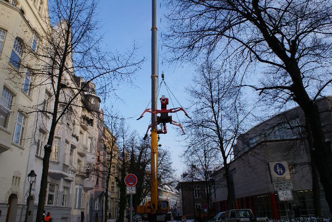 Baumfällung in einem Innenhof in Düsseldorf