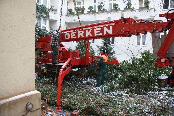Baumfällung in einem Innenhof in Düsseldorf