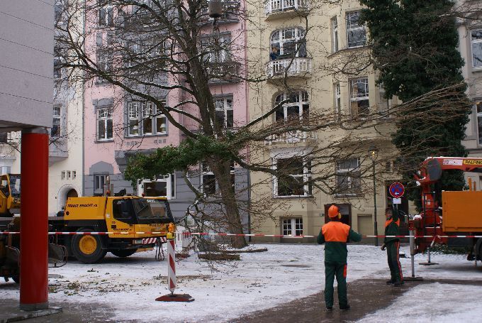 Baumfällung in einem Innenhof in Düsseldorf