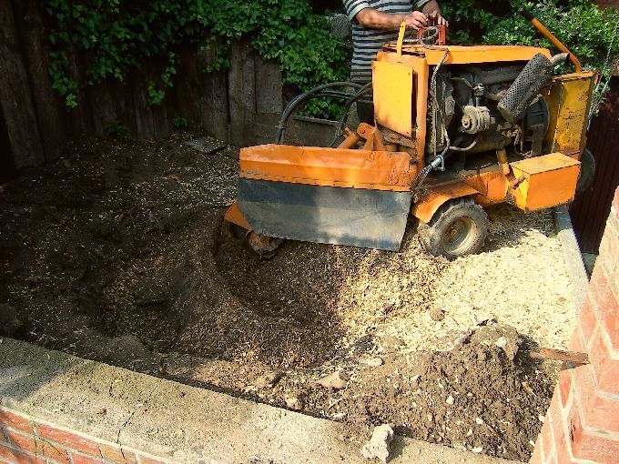 Baumstumpffräse in Aktion - Kleine Boymann