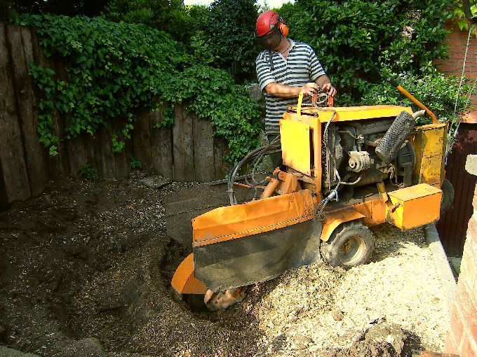 Baumstumpffräse in Aktion - Kleine Boymann