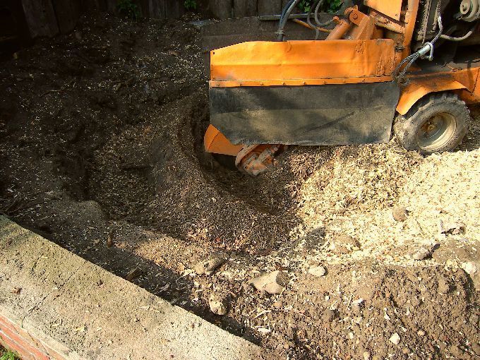 Baumstumpffräse in Aktion - Kleine Boymann