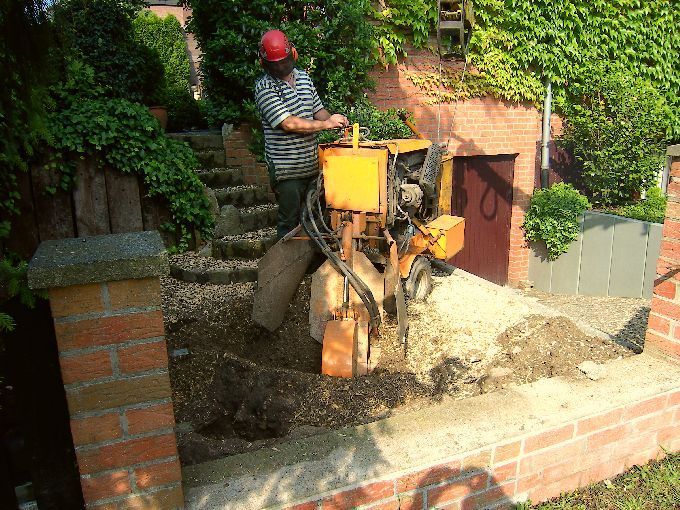 Baumstumpffräse in Aktion - Kleine Boymann