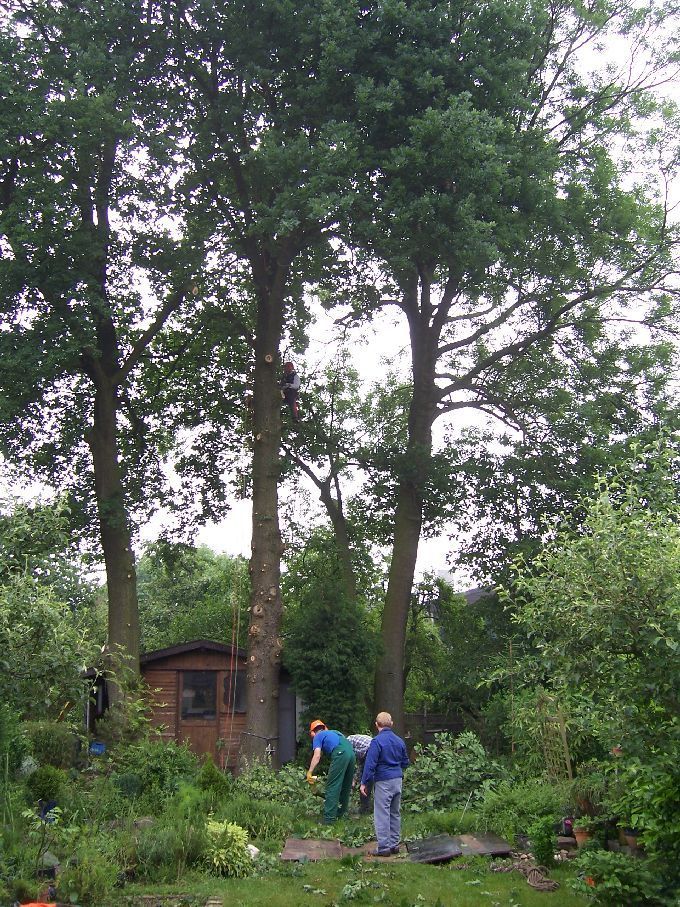 Seilklettertechnik - Kleine Boymann