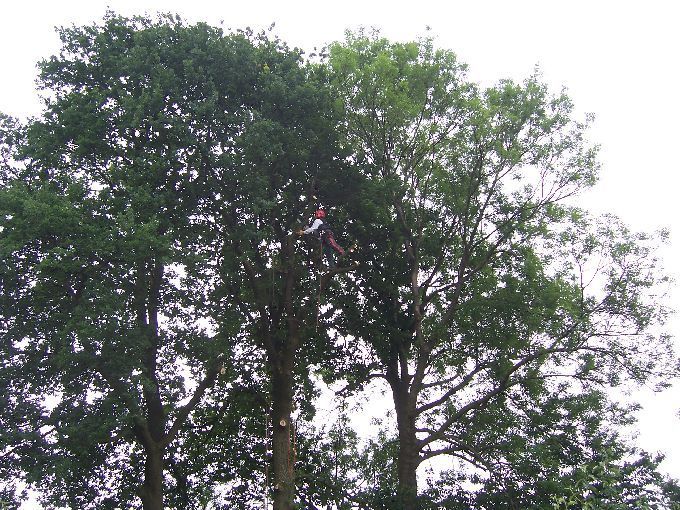 Seilklettertechnik - Kleine Boymann