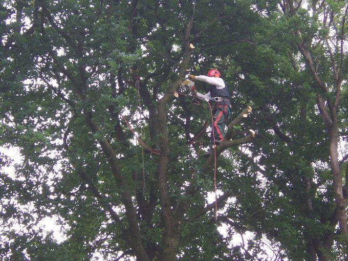 Seilklettertechnik - Kleine Boymann