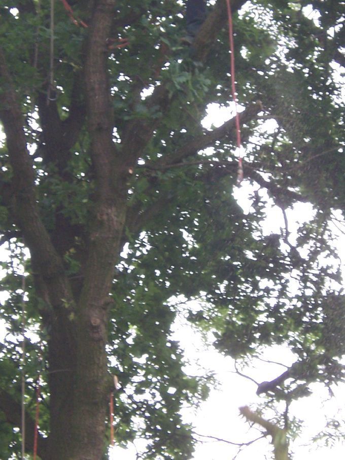 Seilklettertechnik - Kleine Boymann