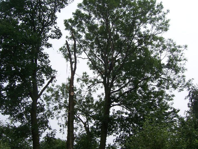 Seilklettertechnik - Kleine Boymann