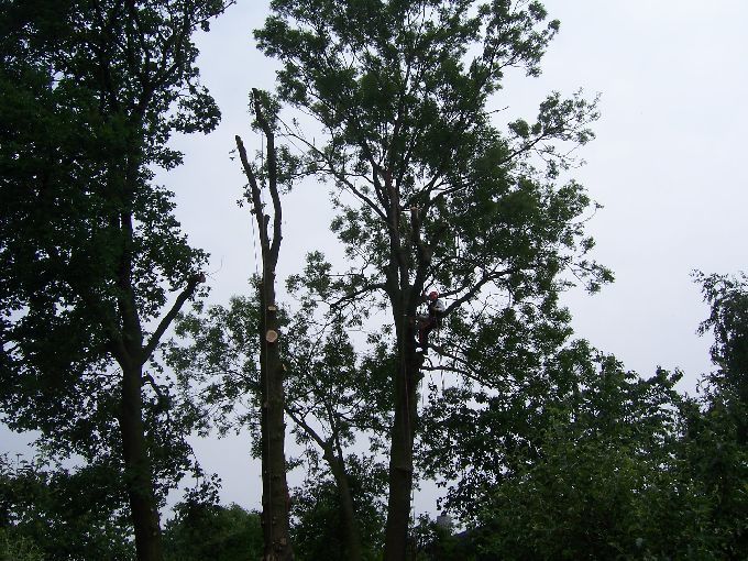 Seilklettertechnik - Kleine Boymann