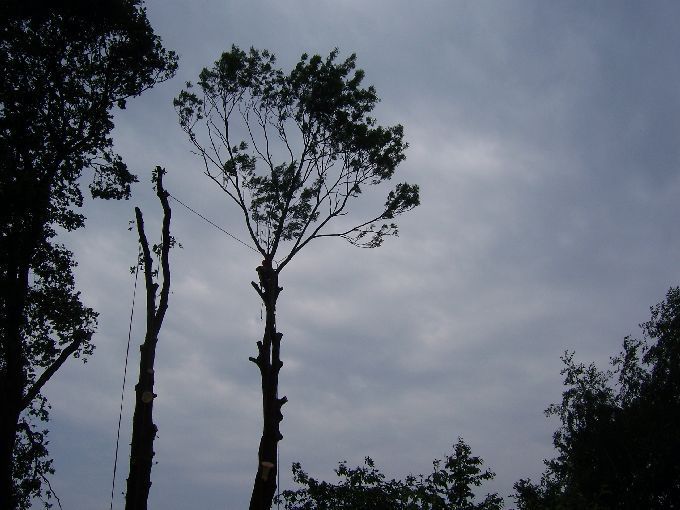 Seilklettertechnik - Kleine Boymann