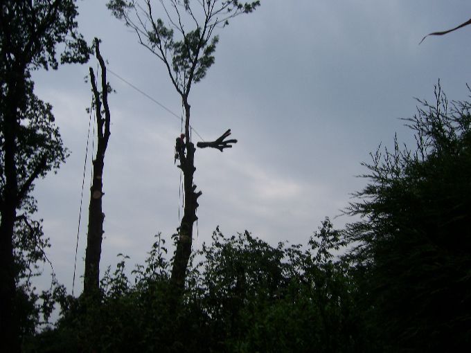 Seilklettertechnik - Kleine Boymann
