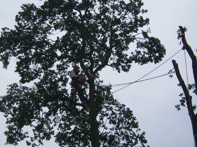 Seilklettertechnik - Kleine Boymann