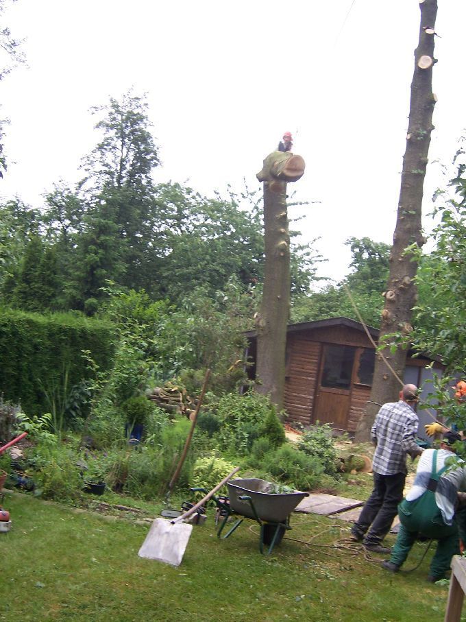 Seilklettertechnik - Kleine Boymann