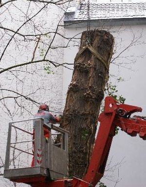 Seilklettertechnik - Kleine Boymann