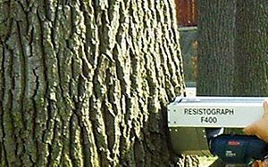 Seilklettertechnik - Kleine Boymann