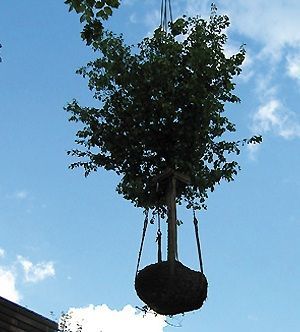 Seilklettertechnik - Kleine Boymann