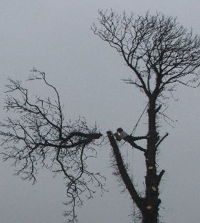 Seilklettertechnik - Kleine Boymann