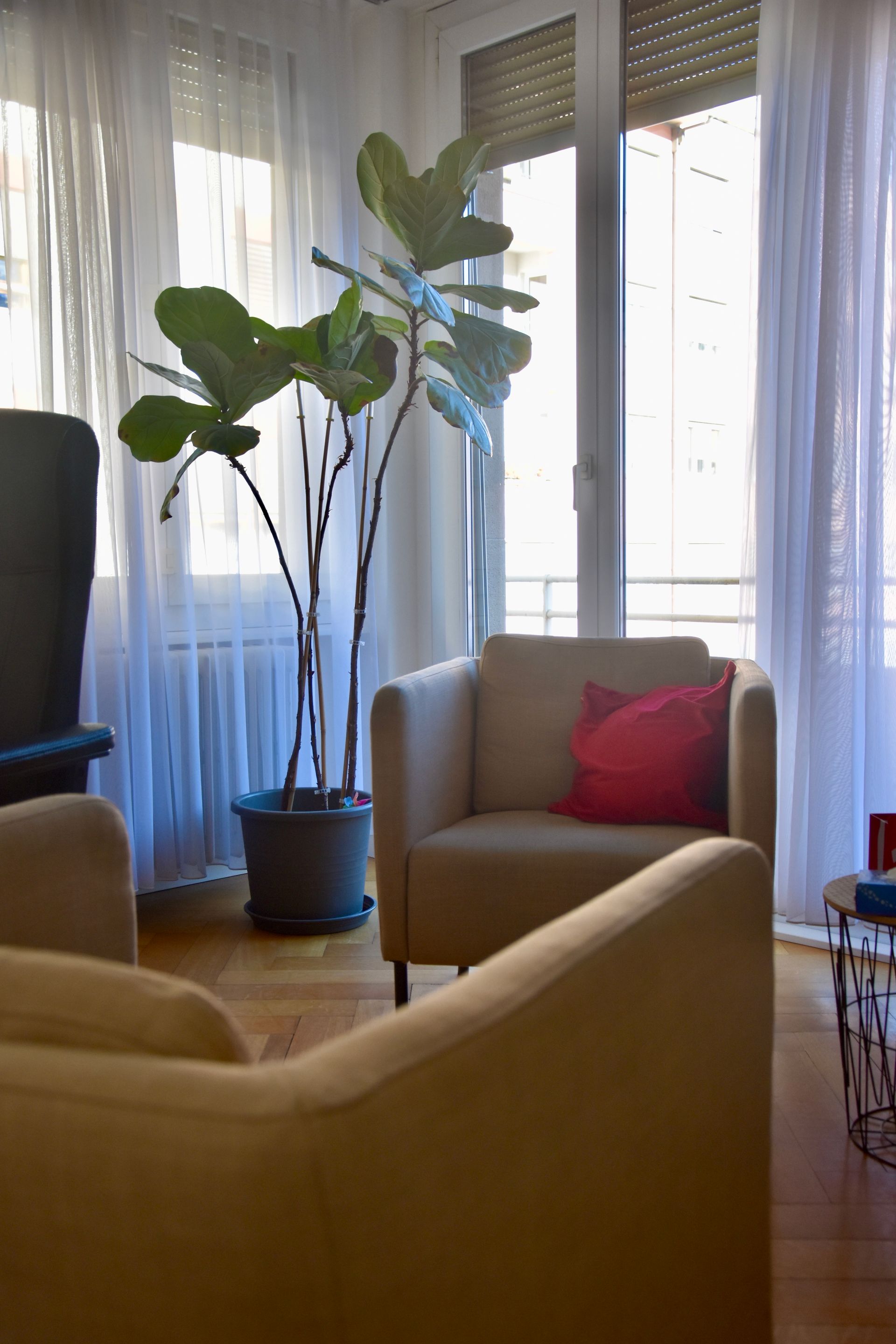 Une salle de psychologue avec des fauteuils.