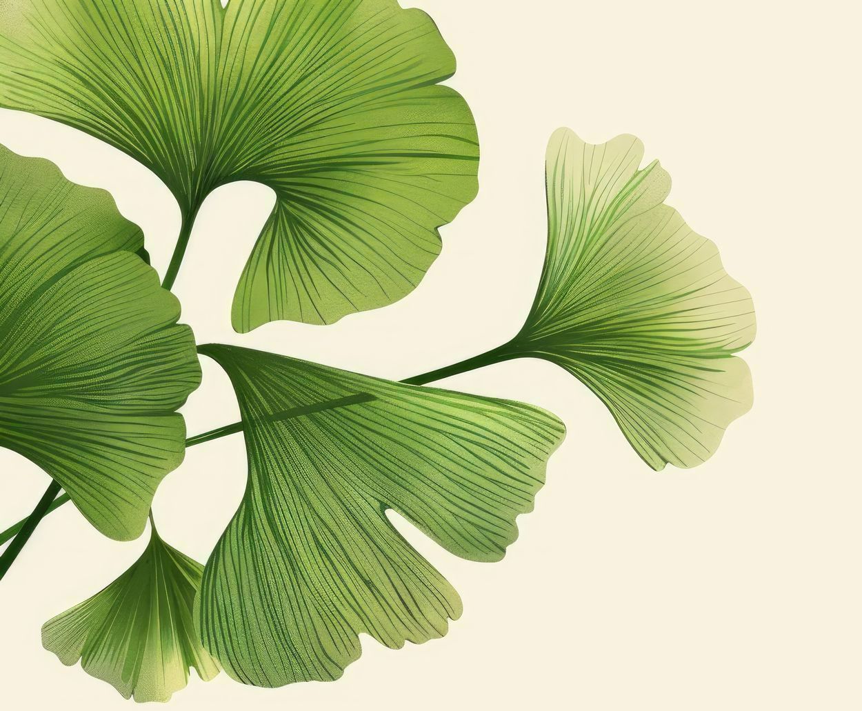 Logo feuille d'arbre