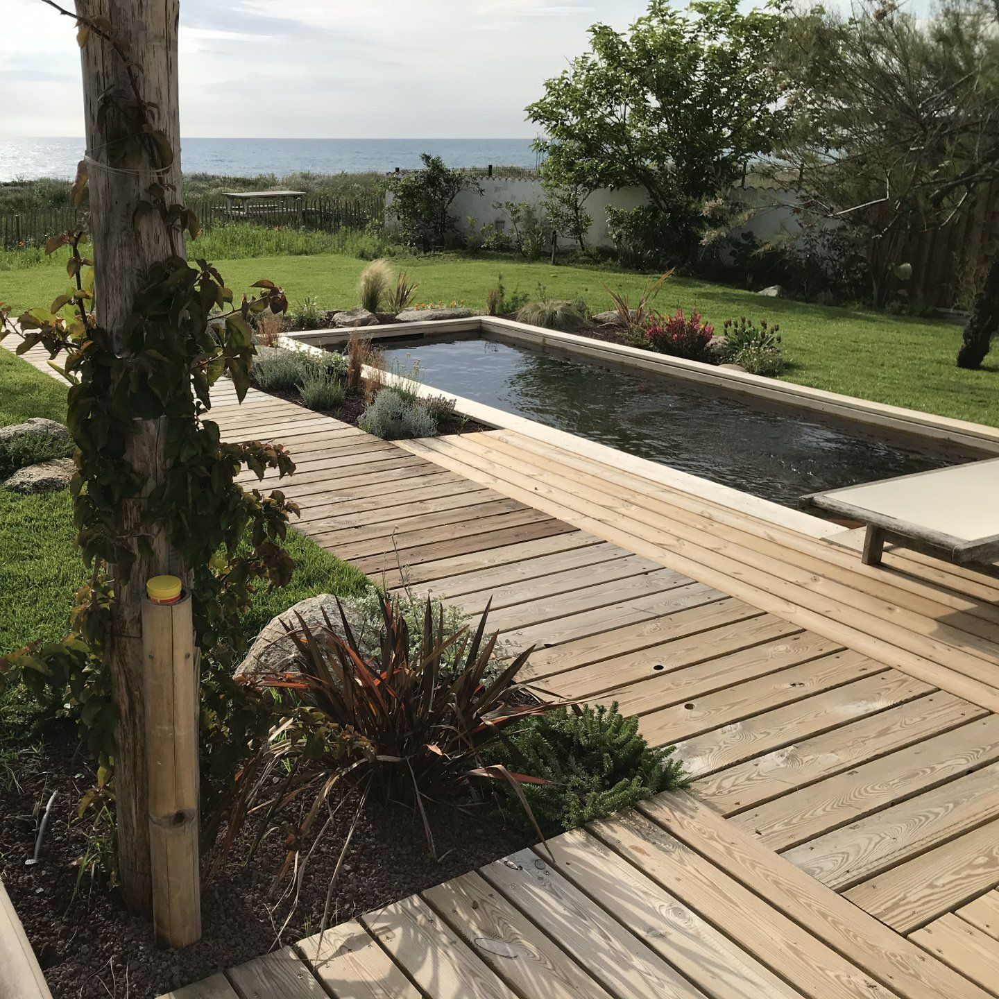 Piscine écologique avec bord en bois