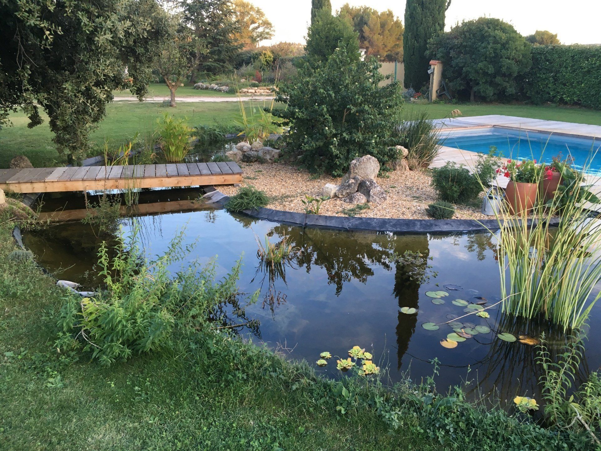 Bassin de décoration avec îlot central et passerelle