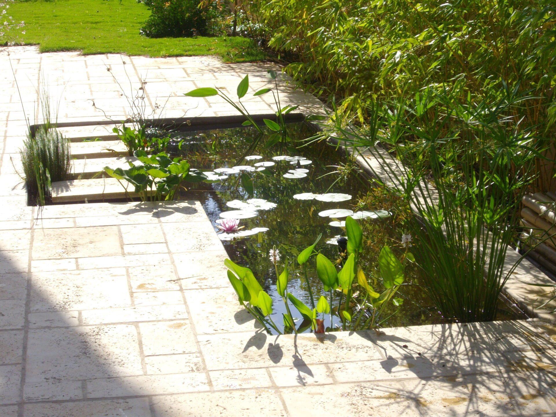 Bassin de décoration avec des nénuphars et des marches