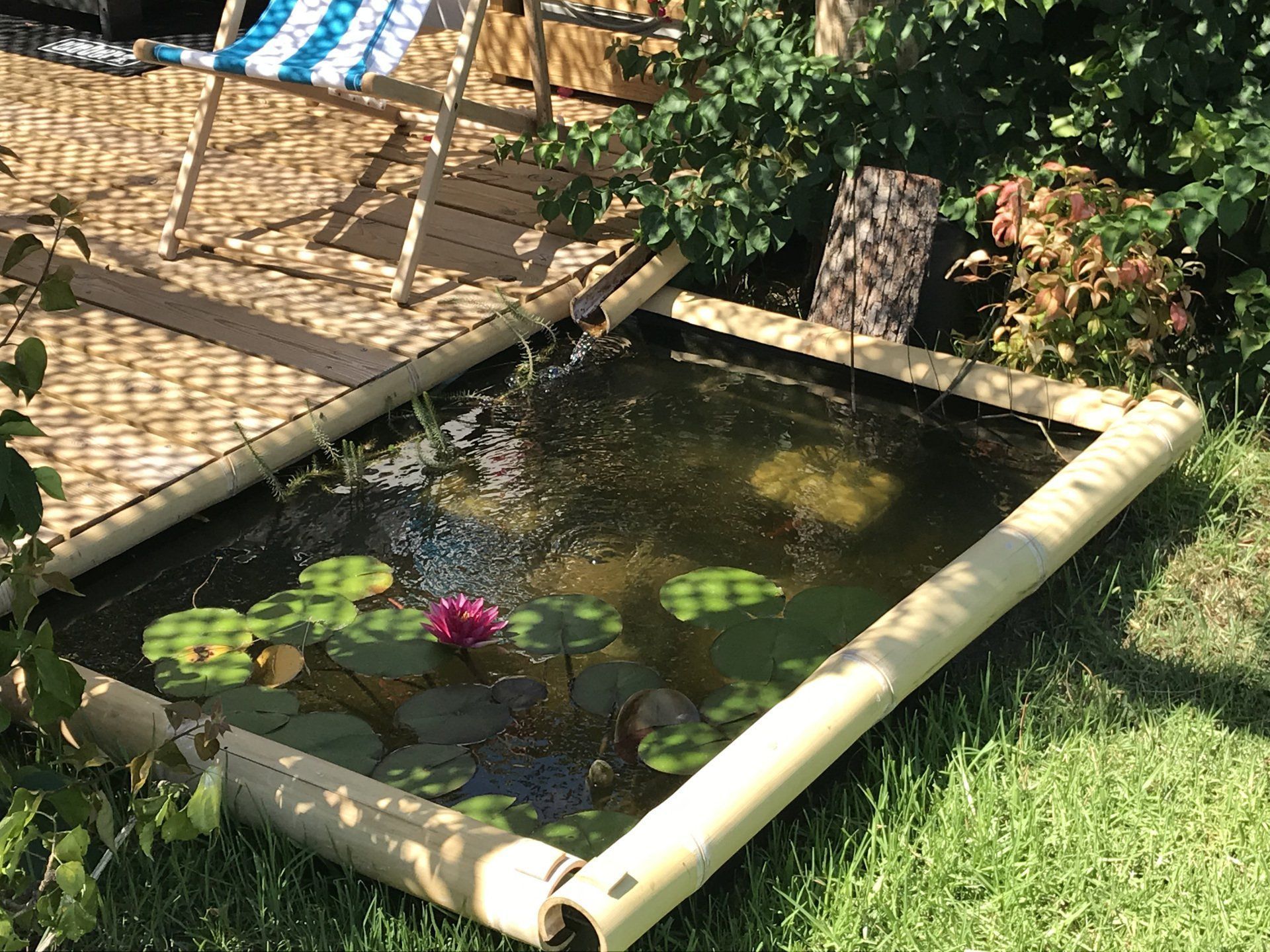 Bassin d'agrément avec nénuphars
