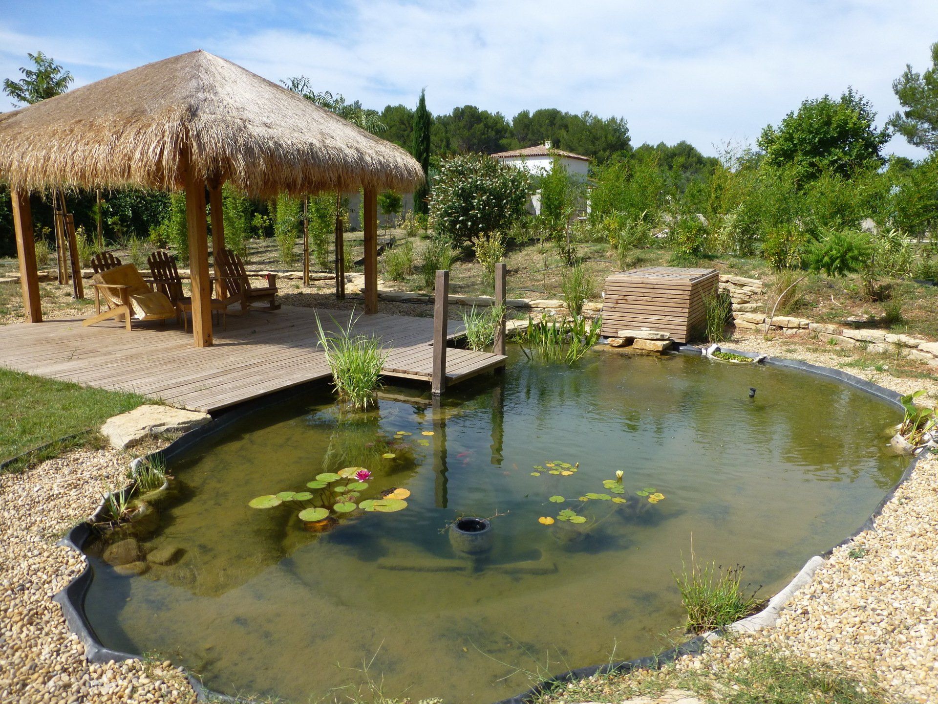 Bassin d'agrément avec nénuphars et terrasse en bois.