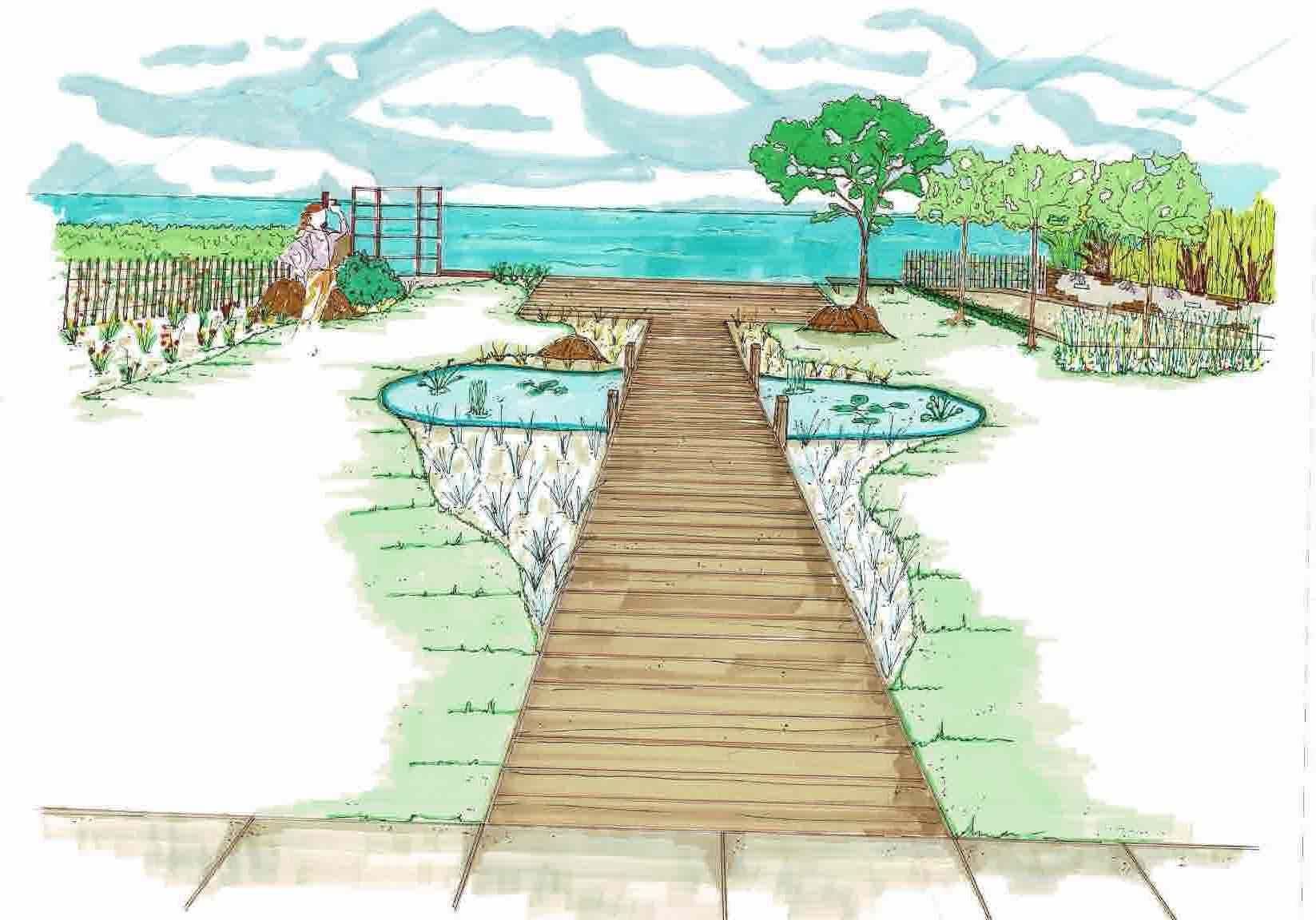 Esquisse de jardin avec passerelle en bois, plantations et bassin de décoration