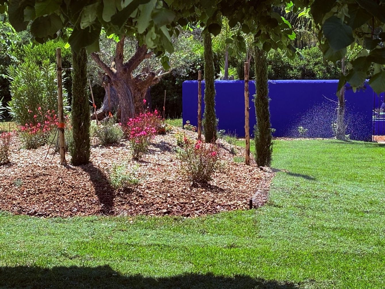 Jardin avec muret bleu