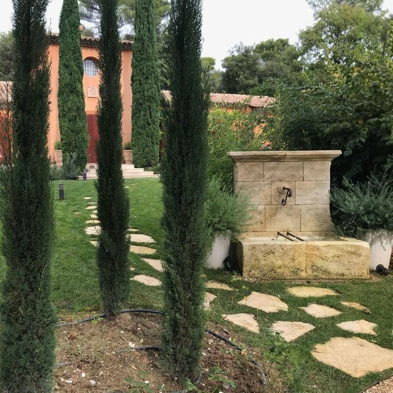 Cyprès et fontaine